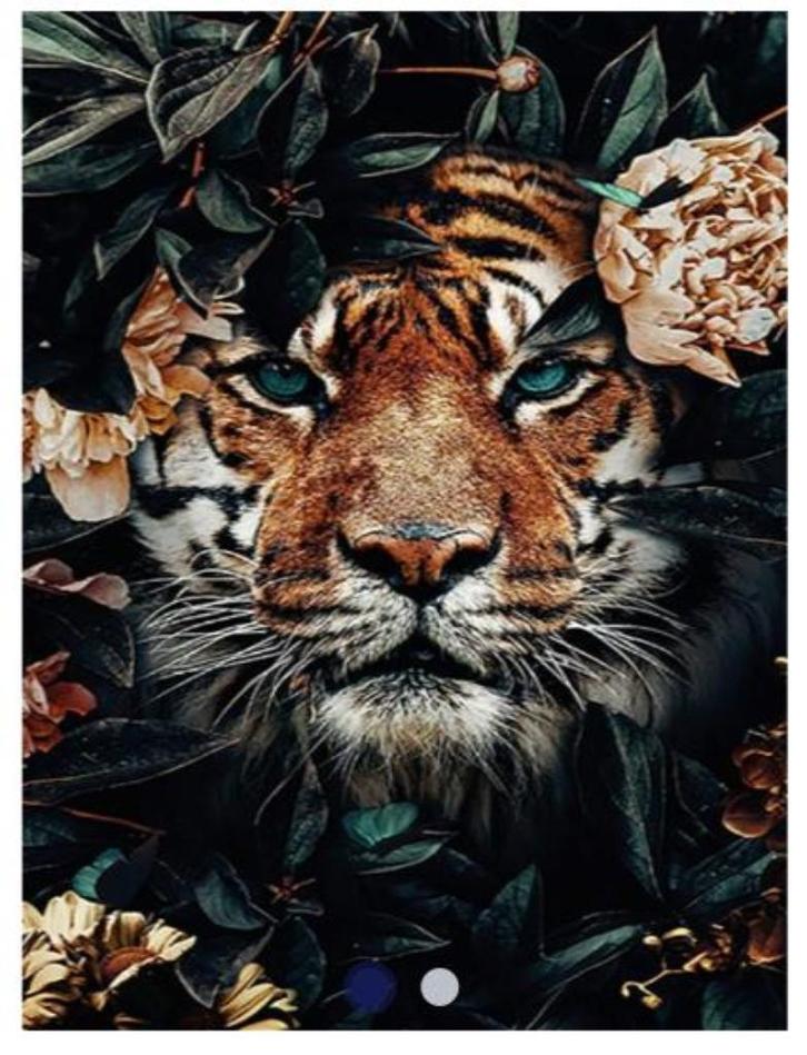 Diamond Painting - Ronde Steentjes - Tijger - 40 x 30 Cm, Hobby en Vrije tijd, Knutselen, Nieuw, Knutselwerk, Ophalen of Verzenden