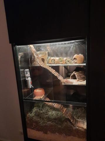 56x35x90 knaagdieren terrarium voor Ikea kast Besta lijn beschikbaar voor biedingen