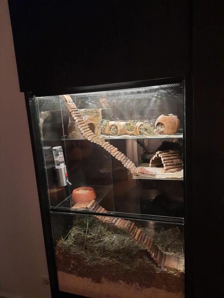 56x35x90 knaagdieren terrarium voor Ikea kast Besta lijn, Dieren en Toebehoren, Knaagdieren en Konijnen | Hokken en Kooien, Nieuw