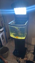 Aquarium 60L + kast, Ophalen, Zo goed als nieuw, Overige typen