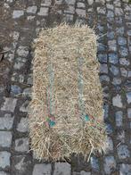 Petits ballots de foin très bonne qualité, Enlèvement