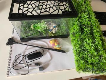 Kleine aaquarium + pomp + versieringen beschikbaar voor biedingen