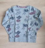 Sweater Someone maat 158, Enfants & Bébés, Vêtements enfant | Taille 158, Comme neuf, Pull ou Veste, Garçon, Enlèvement ou Envoi