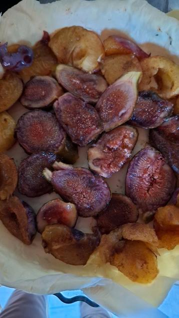 Heerlijke vijgen voorbereiding recept resultaat clafoutis beschikbaar voor biedingen