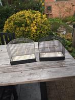 koepelkooien, Ophalen