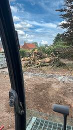 Brandhout op stam, Tuin en Terras, Brandhout, 6 m³ of meer, Ophalen of Verzenden, Overige houtsoorten, Stammen