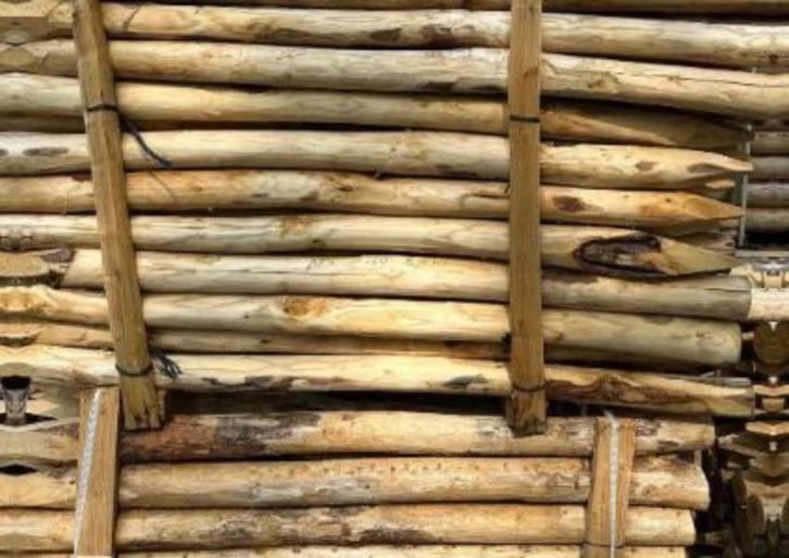 KASTANJE PALEN, Tuin en Terras, Palen, Balken en Planken, Nieuw, Palen, 180 tot 250 cm, Ophalen of Verzenden