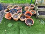 Pots de fleurs en terre cuite et plastique avec contenu, Jardin & Terrasse, Pots de fleurs, Terracotta, Enlèvement, Utilisé