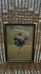 Set van 7 vintage botanische prenten in kader, Ophalen