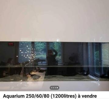 Aquarium réalisé sur mesure( 250x80x60), posé sur meuble sur beschikbaar voor biedingen