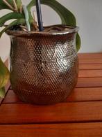 Bloempot met plant keramiek 12cm hoog en 14cm breed, Ophalen of Verzenden, Zo goed als nieuw