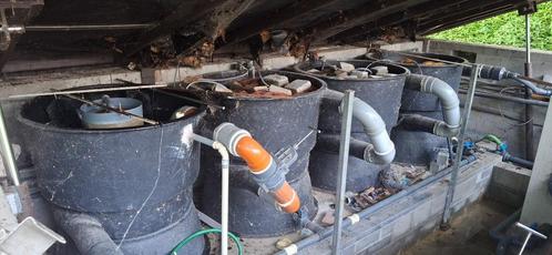 Meerkamer filterlijn, Dieren en Toebehoren, Vissen | Vijvervissen, Overige soorten