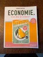 Karolien Van Riel - Economie, wat doe je ermee?, Ophalen of Verzenden, Zo goed als nieuw, Karolien Van Riel; Valentijn Brasseur