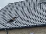 Ervaren dakwerker voor al uw dakwerken, Garantie, Verbouw of Aanbouw