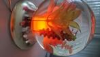 Leuke vintage bloemen/ plantenaqarium lamp, Minder dan 50 cm, Gebruikt, Vintage, Glas