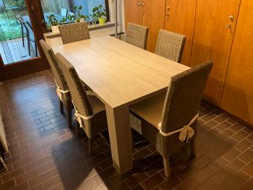 Eettafel 180 x 95 met 6 rotan stoelen met bijhorend kussen beschikbaar voor biedingen