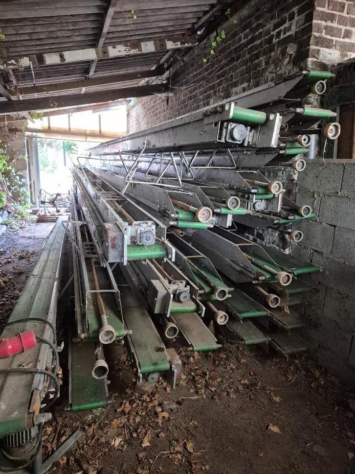 planten transport banden, potmachine, dc containers, Zakelijke goederen, Landbouw | Werktuigen, Akkerbouw, Bollenteelt, Boomteelt