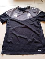 voetbalshirt Jako RAFC Antwerp maat L, Maat L, Ophalen of Verzenden