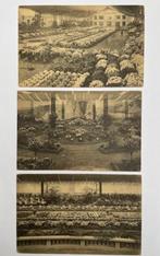 9 postkaarten Floraliën 1923, Ophalen of Verzenden, 1920 tot 1940, Ongelopen, Oost-Vlaanderen