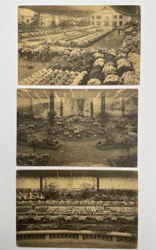 9 postkaarten Floraliën 1923, Verzamelen, Postkaarten | België, Ongelopen, Oost-Vlaanderen, 1920 tot 1940, Ophalen of Verzenden
