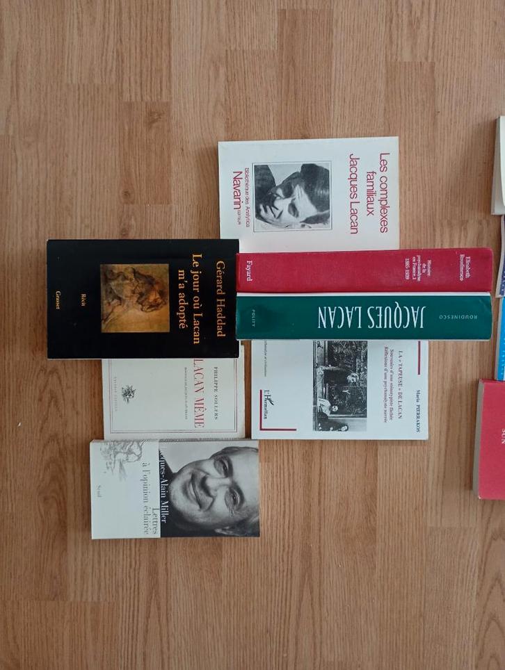 Freud, Lacan, Bion, Winnicott, Anzieu, Green, Dolto...., Boeken, Psychologie, Gelezen, Ophalen of Verzenden