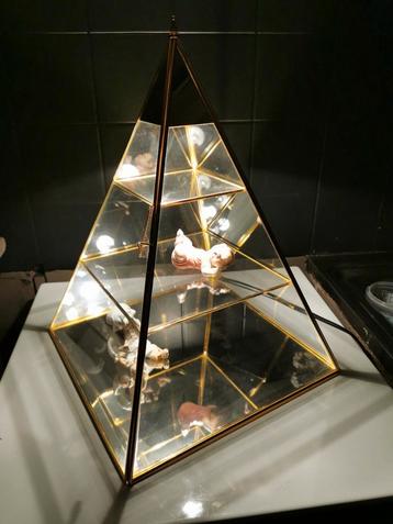 Showcase met verlichting. Verguld., Antiek en Kunst, Ophalen