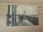 HAMME: Overstromingen van maart 1906, Ophalen of Verzenden, Voor 1920, Ongelopen, Oost-Vlaanderen