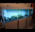 Aquarium, Dieren en Toebehoren, Ophalen, Zo goed als nieuw