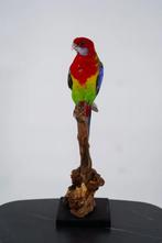Opgezette Prachtrosella - Wildernis Atelier