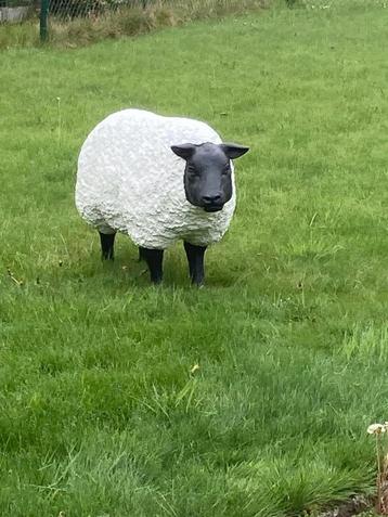 Schaap, Enlèvement, Comme neuf, Synthétique, Animal