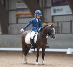 Super brave A pony voor dressuur en springen, Dieren en Toebehoren, Ontwormd, 11 jaar of ouder, Merrie, L