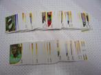 Panini WK 2002 Korea-Japan, Ophalen of Verzenden, Nieuw, Sport
