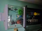 Aquarium te koop, Dieren en Toebehoren, Ophalen of Verzenden, Zo goed als nieuw