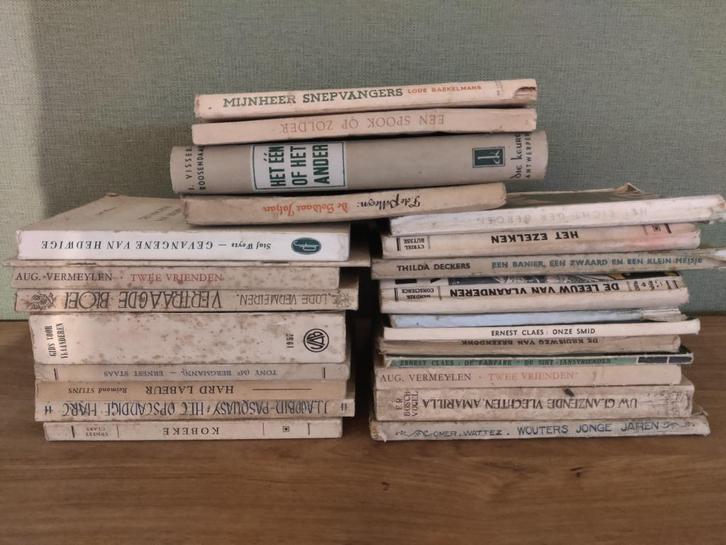 Groot lot oude boeken / romans, Boeken, Romans, Gelezen, Ophalen of Verzenden