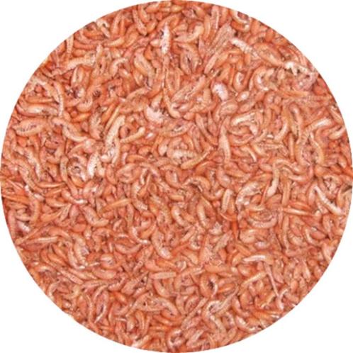 Koivoer | Gammarus | 2,6 liter (350gr), Tuin en Terras, Vijver-toebehoren, Nieuw, Ophalen of Verzenden
