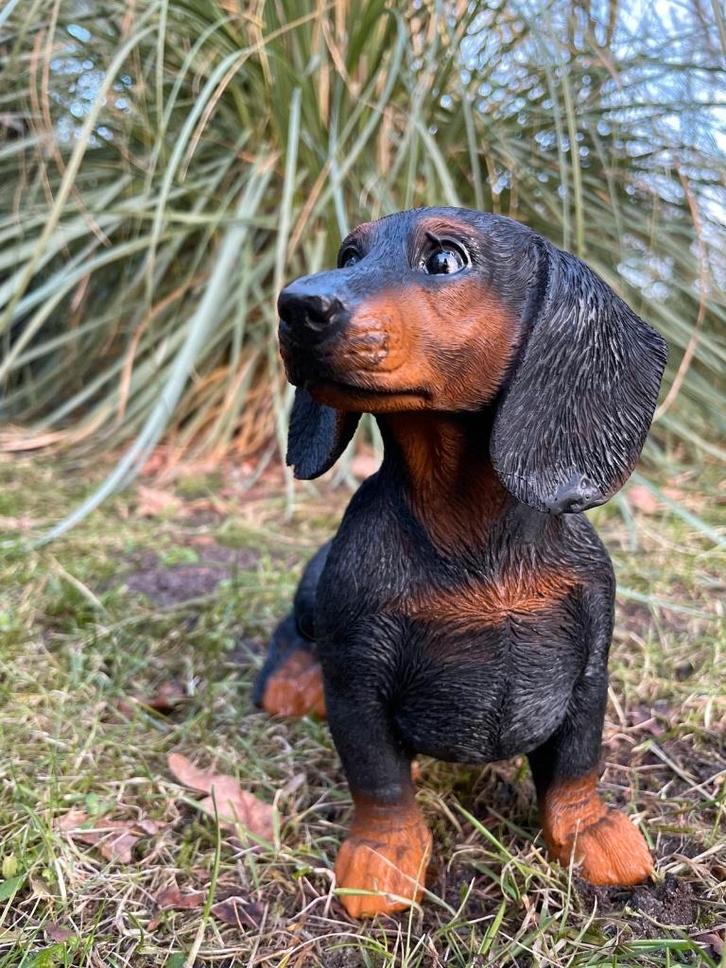 Image teckel, teckel, chien, jardin, pelouse 30 cm, Jardin & Terrasse, Statues de jardin, Neuf, Animal, Synthétique, Enlèvement ou Envoi