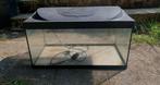 Aquarium 60 l, Ophalen, Gebruikt, Overige typen