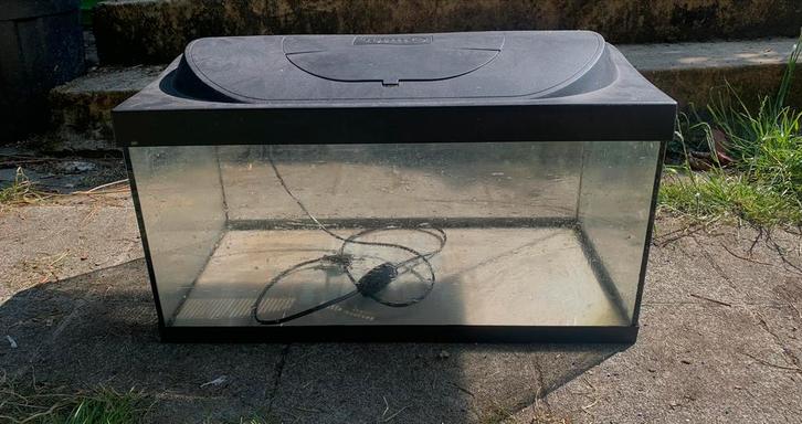 Aquarium 60l, Dieren en Toebehoren, Reptielen en Amfibieën | Toebehoren, Gebruikt, Overige typen, Ophalen