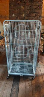 Cage a vendre, Enlèvement, Cage, Chinchilla