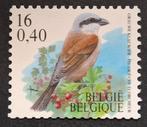 België: OBP 2931 ** Vogels 2000., Frankeerzegel, Ophalen of Verzenden, Zonder stempel, Postfris