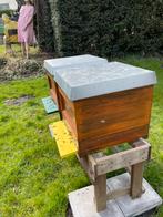 Bijenvolken inclusief kast, Duits Normaal Hout. Carnica, Dieren en Toebehoren