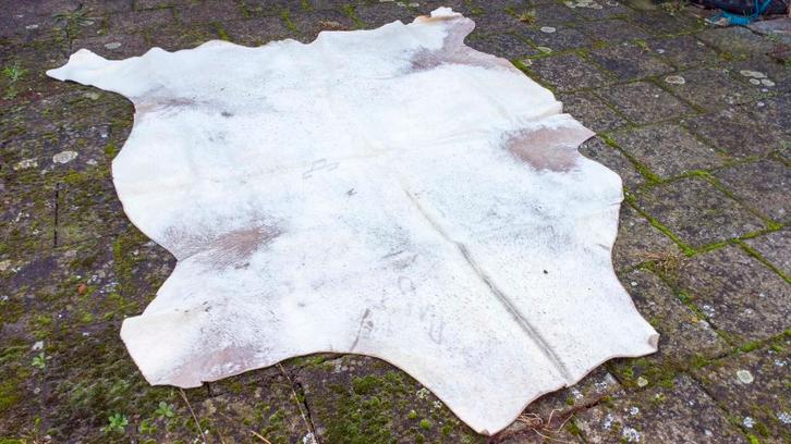Natuurlijke Witte Koeienhuid met Authentiek Brandmerk – XL, Huis en Inrichting, Stoffering | Tapijten en Vloerkleden, Gebruikt