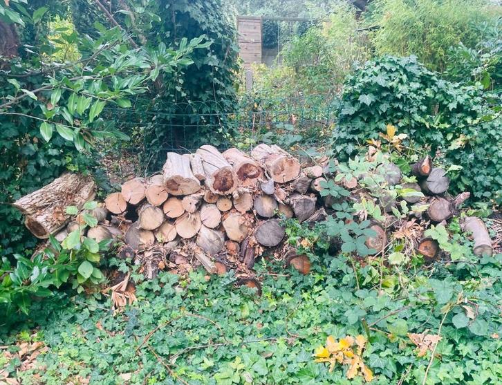 Bois pour chauffage ou autre, Jardin & Terrasse, Bois de chauffage, Bûches, Chêne, Moins de 3 m³, Enlèvement