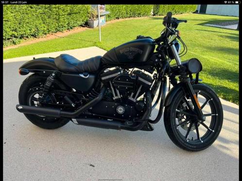 Harley Davidson Iron 883, Motoren, Motoren | Harley-Davidson, Particulier, Chopper, 12 t/m 35 kW, 2 cilinders, Ophalen
