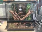 Exo-terra 45x45x45, Dieren en Toebehoren, Ophalen, Gebruikt, Terrarium of Paludarium