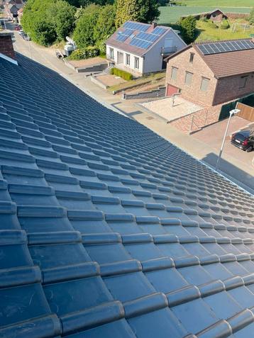 renovatie en dakwerken van woningen of appartementen  beschikbaar voor biedingen