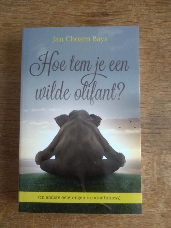 Hoe tem je een wilde Olifant / Jan Chozen Bays, Boeken, Esoterie en Spiritualiteit, Nieuw, Ophalen