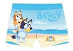 Bluey Zwembroek - Maat 98/104 - 110/116 - 122/128, Kinderen en Baby's, Nieuw, Ophalen of Verzenden, Jongen, Zwembroek