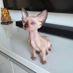 SPHYNX KITTENS ERKEND KWEKER NOG 3 VROUWTJES BESCHIKBAAR, Dieren en Toebehoren, Katten en Kittens | Raskatten | Korthaar, Poes