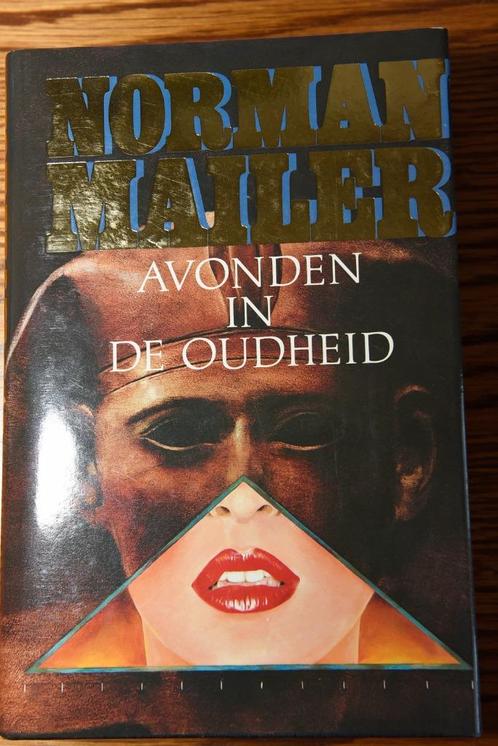 Avonden in de oudheid, Livres, Romans historiques, Comme neuf, Enlèvement